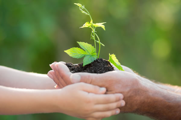 Investment Planning